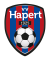 Logo vv Hapert